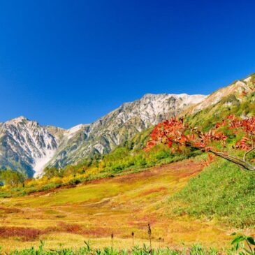 Best Places in Hakuba for Fall Colors