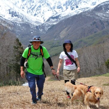 Doggy Trekking at Iwatake Mountain Resort
