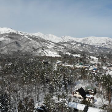 Fresh Snow, Fresh Energy